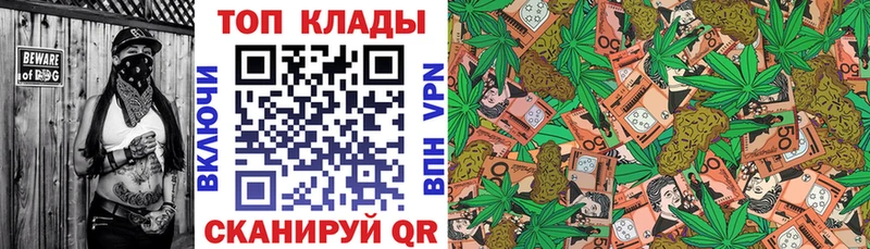 A PVP Ржев