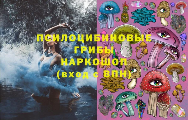 мдпв Арсеньев