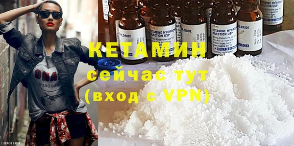 сатива Аркадак