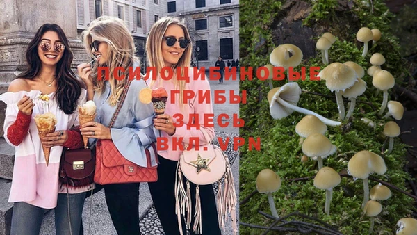 сатива Аркадак