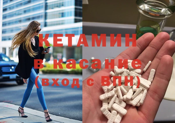 сатива Аркадак