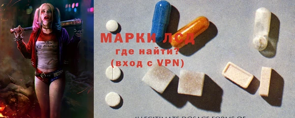 сатива Аркадак