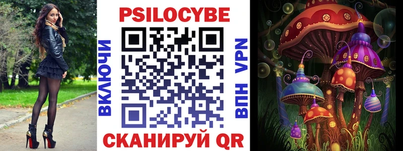 Галлюциногенные грибы Psilocybe  Ржев 